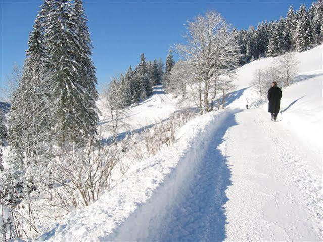 Haus Rigl Apartment Schladming Ngoại thất bức ảnh